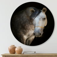 Дизайнарт 'близък портрет на бял кон' фермерски кръг метална стена арт-диск от 23