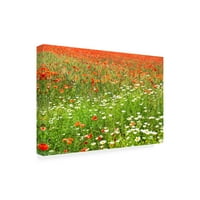 Изящно изкуство 'Франция Прованс Пролетни цветя' платно изкуство от Филип Хюгонар