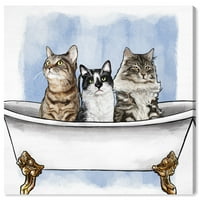 Уинууд студио Животни стена платно изкуство печат 'котки във ваната' котки и котки-Синьо, бяло