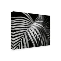Търговска марка изобразително изкуство 'палмови листа черно-бели' платно изкуство от Дебра Ван Суеринген
