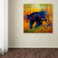 Изобразително изкуство 'в да пролетта черна мечка' платно изкуство от Марион Роуз