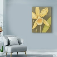 Изобразително изкуство орхидея и земя платно изкуство от Меган Мийгър