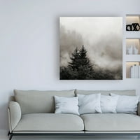 Изобразително изкуство 'издигаща се мъгла, опушени планини' платно изкуство от Никълъс Бел