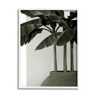 Ступел индустрии модерна тропическа палма монохроматичен циментов плантатор, 14, дизайн от Джордж Кенън
