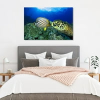 Винууд студио Морски и крайбрежни картини 'Зелена морска костенурка от Дейвид Флийтъм' Морски Живот-синьо,