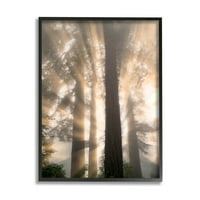Ступел индустрии слънчеви лъчи през дървета снимка Черно рамка изкуство печат стена изкуство, дизайн от Минди Сомърс