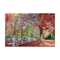Търговска марка изобразително изкуство 'Есенна градина червени дървета' платно изкуство от Беата Чизовска