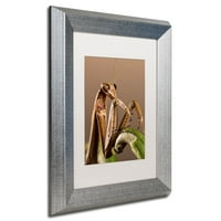 Търговска марка изобразително изкуство богомолка и пипер платно изкуство от Джейсън Шафър, бял мат, сребърна